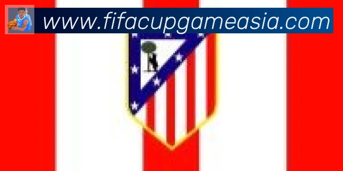 FIFA世界杯赛事官方网站合作伙伴